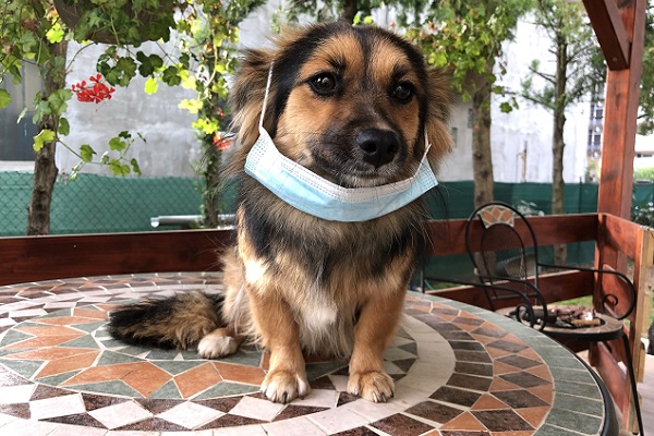 Rendezvény